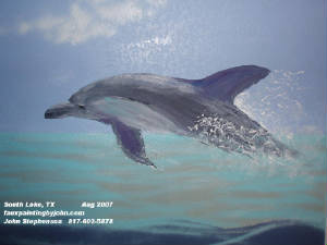 dolphin_2.jpg